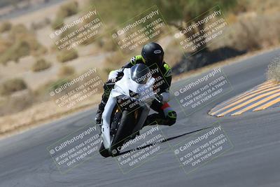 media/May-14-2023-SoCal Trackdays (Sun) [[024eb53b40]]/Turn 5 Tree of Life (1125am)/